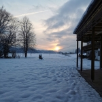 IMG_20230122_163356.jpg
