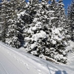 IMG_20230124_093924.jpg
